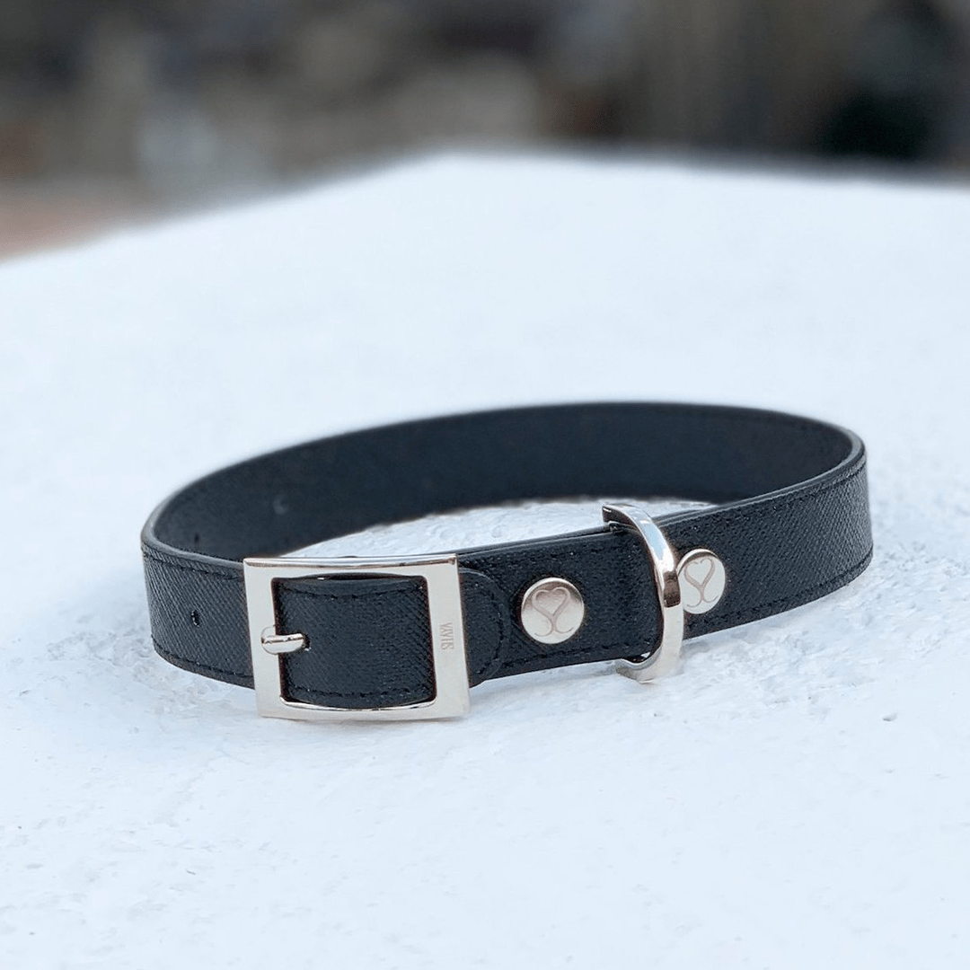 THE TAYLOR COLLAR BLACK - PRECIOUS PET