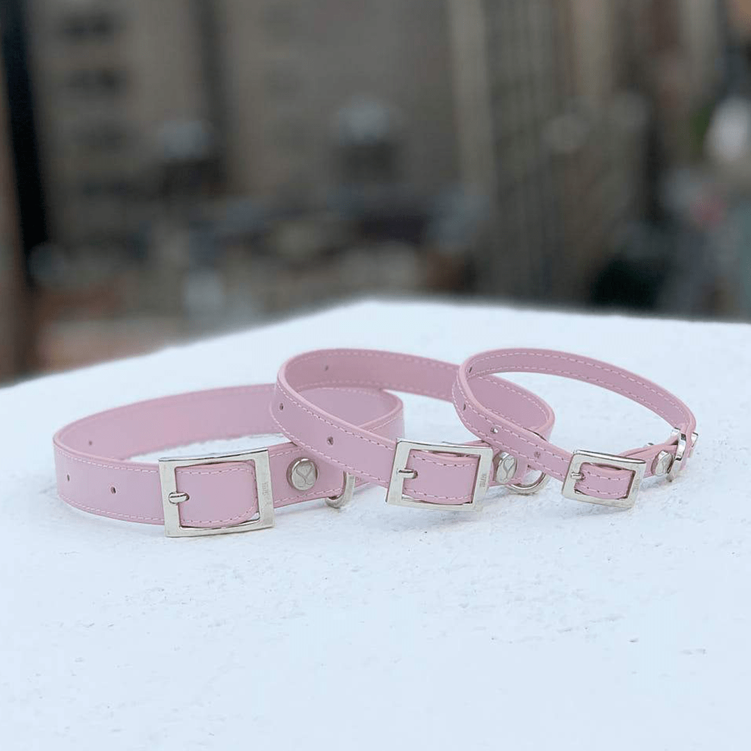 THE TAYLOR COLLAR BLUSH PINK - PRECIOUS PET
