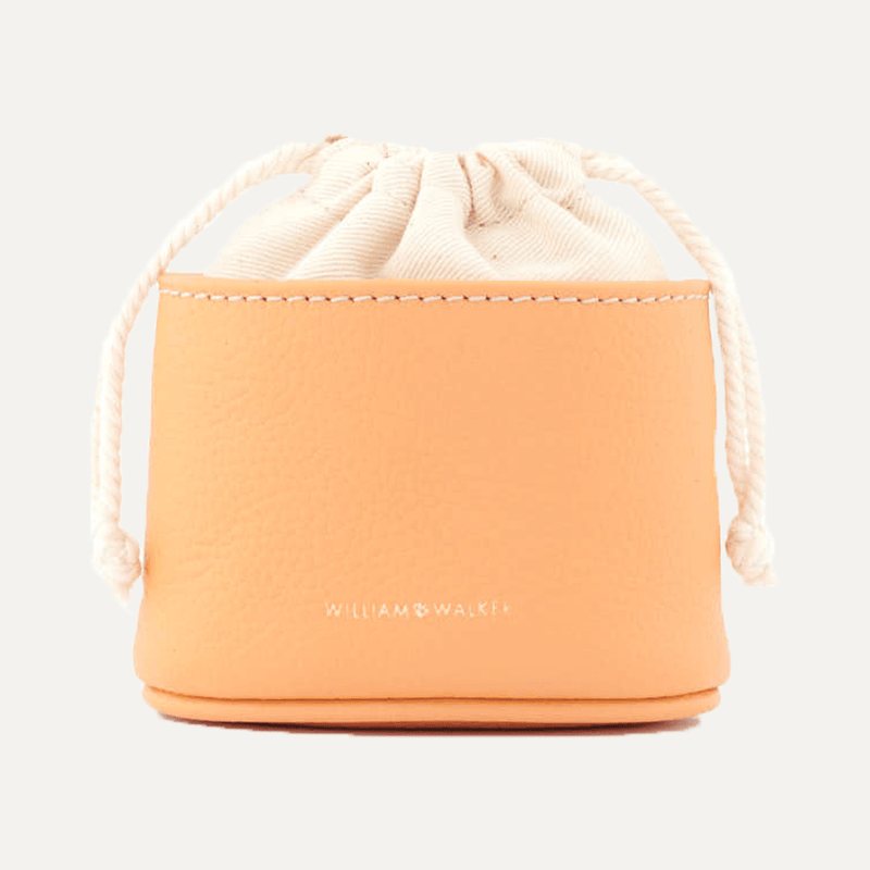 TREAT BAG ORANGE - PRECIOUS PET