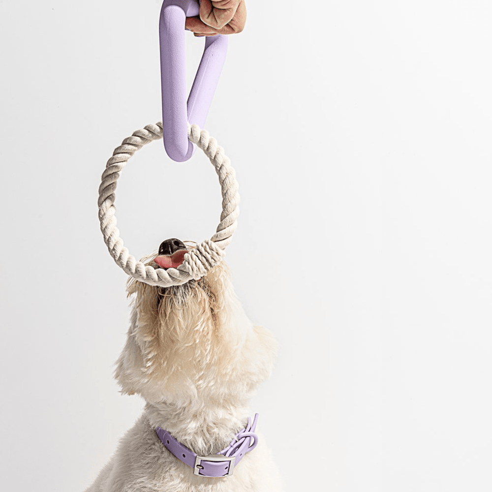TRIANGLE TUG LILAC - PRECIOUS PET
