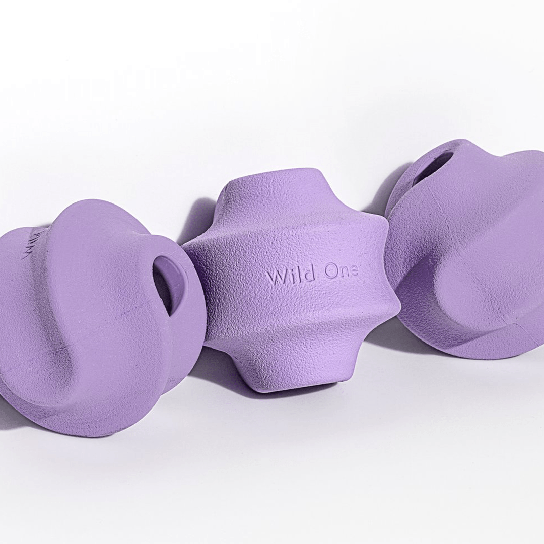 TWIST TOSS LILAC - PRECIOUS PET