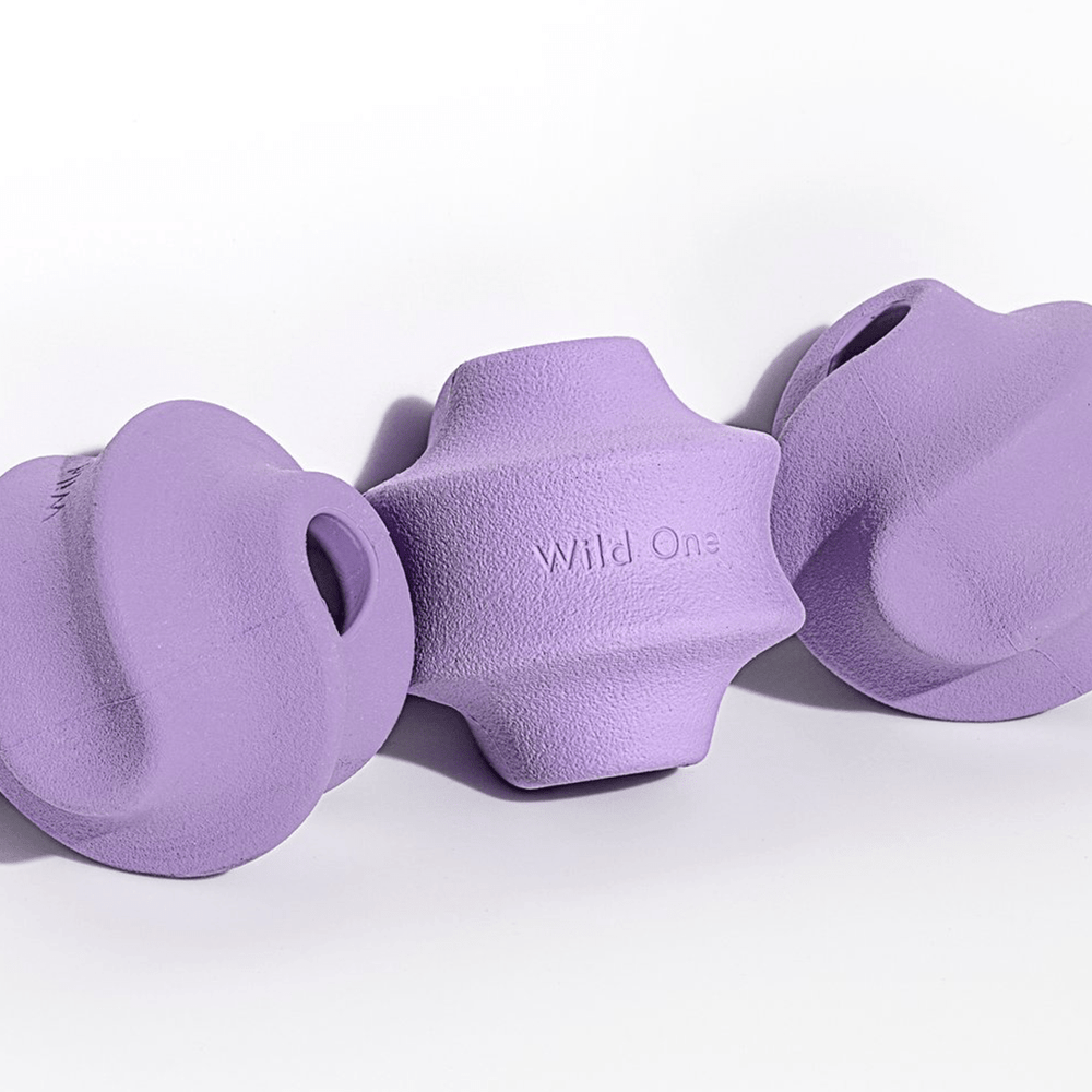 TWIST TOSS LILAC - PRECIOUS PET