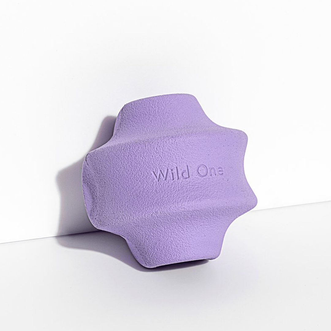 TWIST TOSS LILAC - PRECIOUS PET