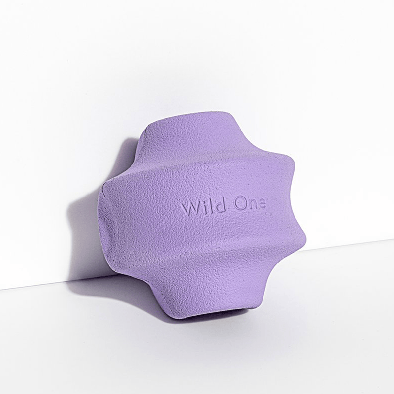 TWIST TOSS LILAC - PRECIOUS PET