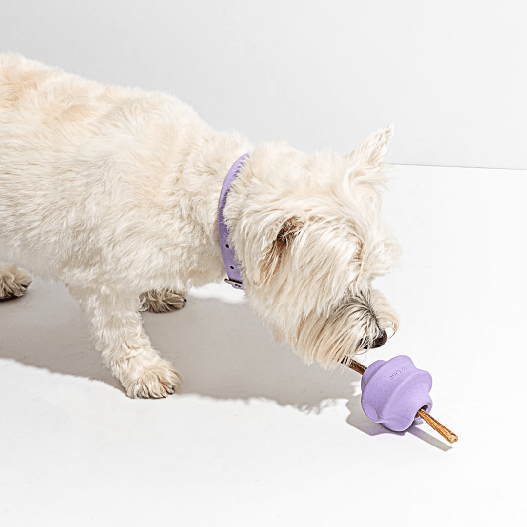 TWIST TOSS LILAC - PRECIOUS PET